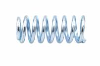 WOLF-Garten Expert DRUCKFEDER 1.28 OD x 3.125