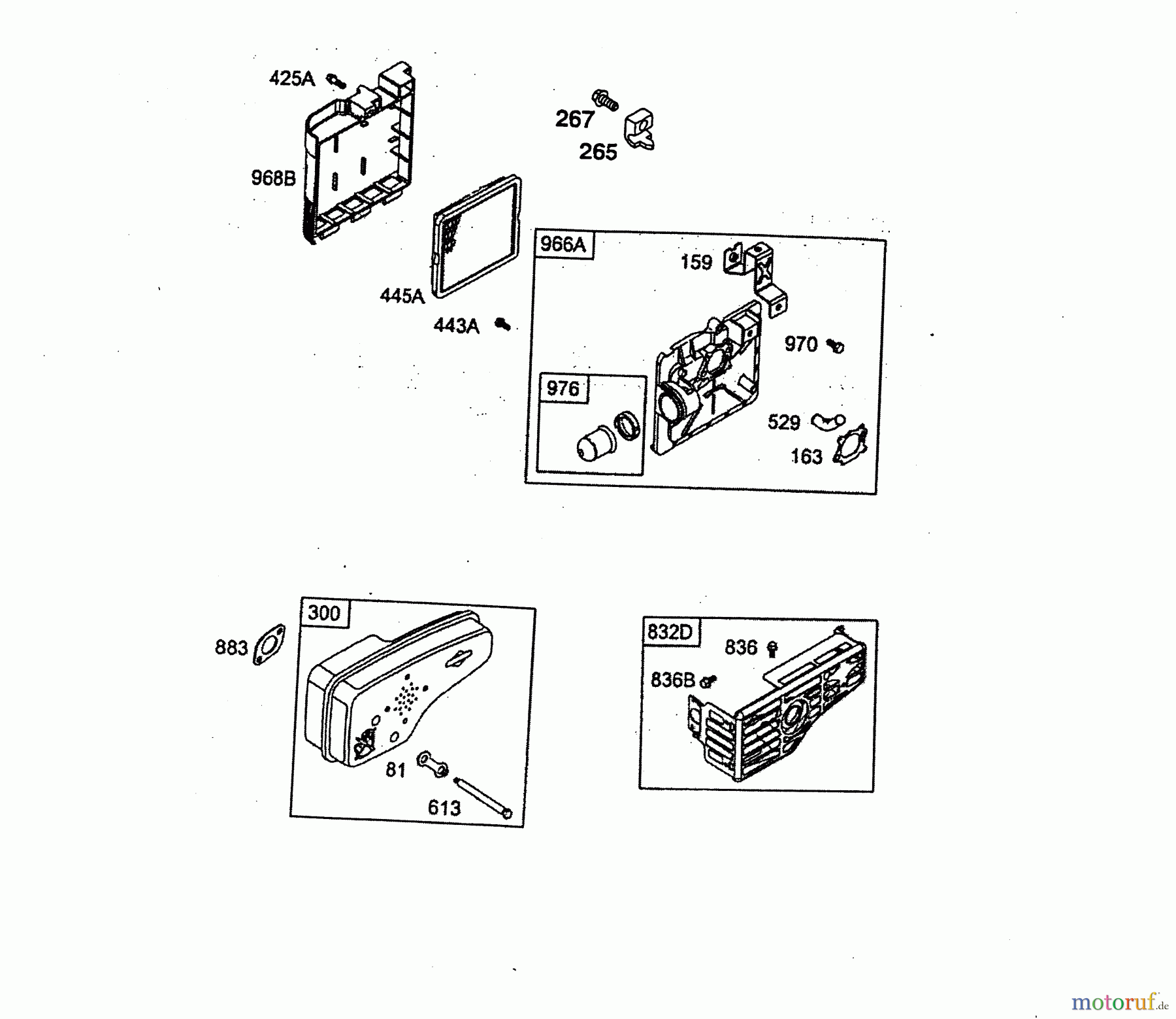  Wolf-Garten Benzinmotoren Briggs&Stratton Quantum 55 XTE 2076050  (2003) Auspuff, Luftfilter
