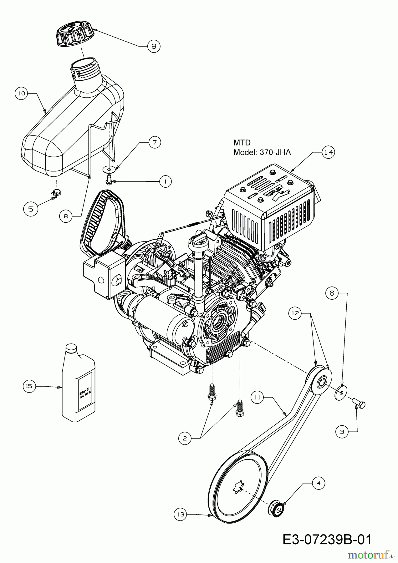  Wolf-Garten Schneefräsen Expert 5370 31AR2T6D650  (2016) Keilriemen, Motor, Tank